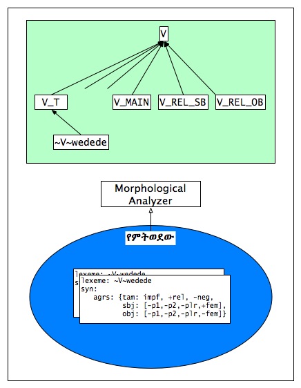 Amharic parse 1